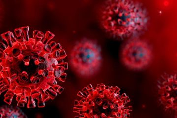 SEO and your business during the covid crisis